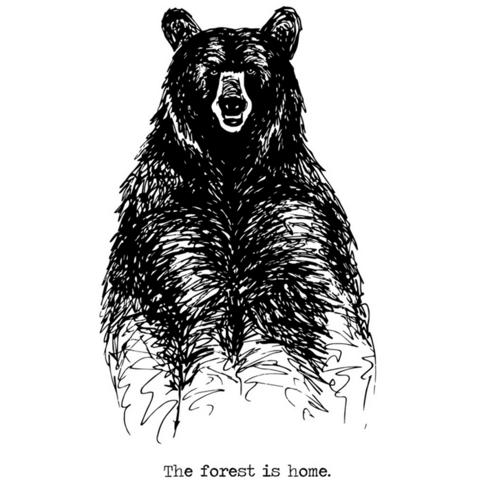 CABIN CREW | bear - NOVEL SUPPLY CO.